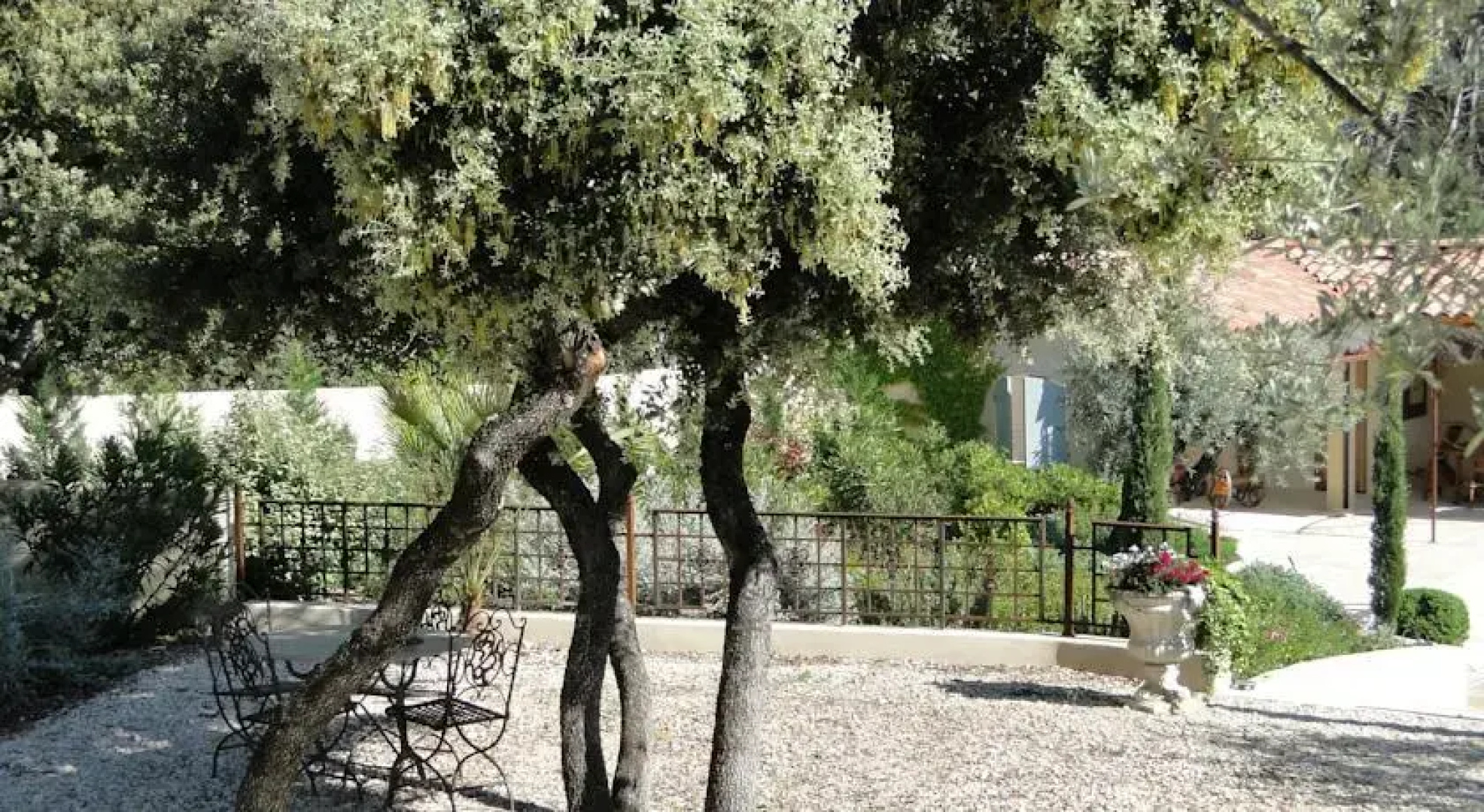 La Confidente - Bed and Breakfast