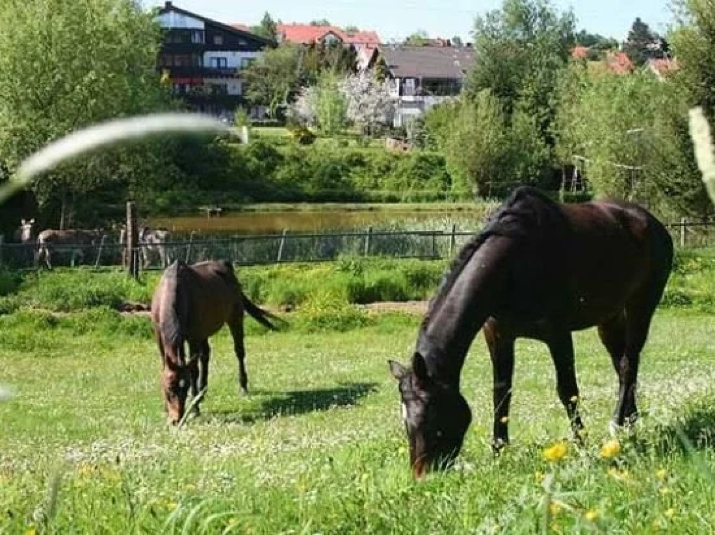 Hotel Mühlenthal Gmbh
