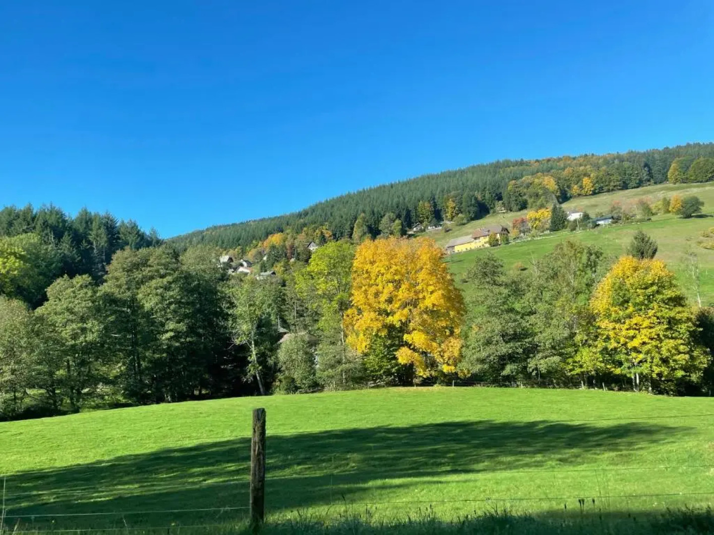 Le Hohwald centre appartement 2 pièces # 102