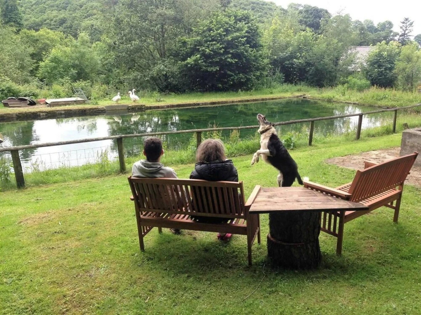 The Mill House at Cwmiar Farm - Relaxing Holidays