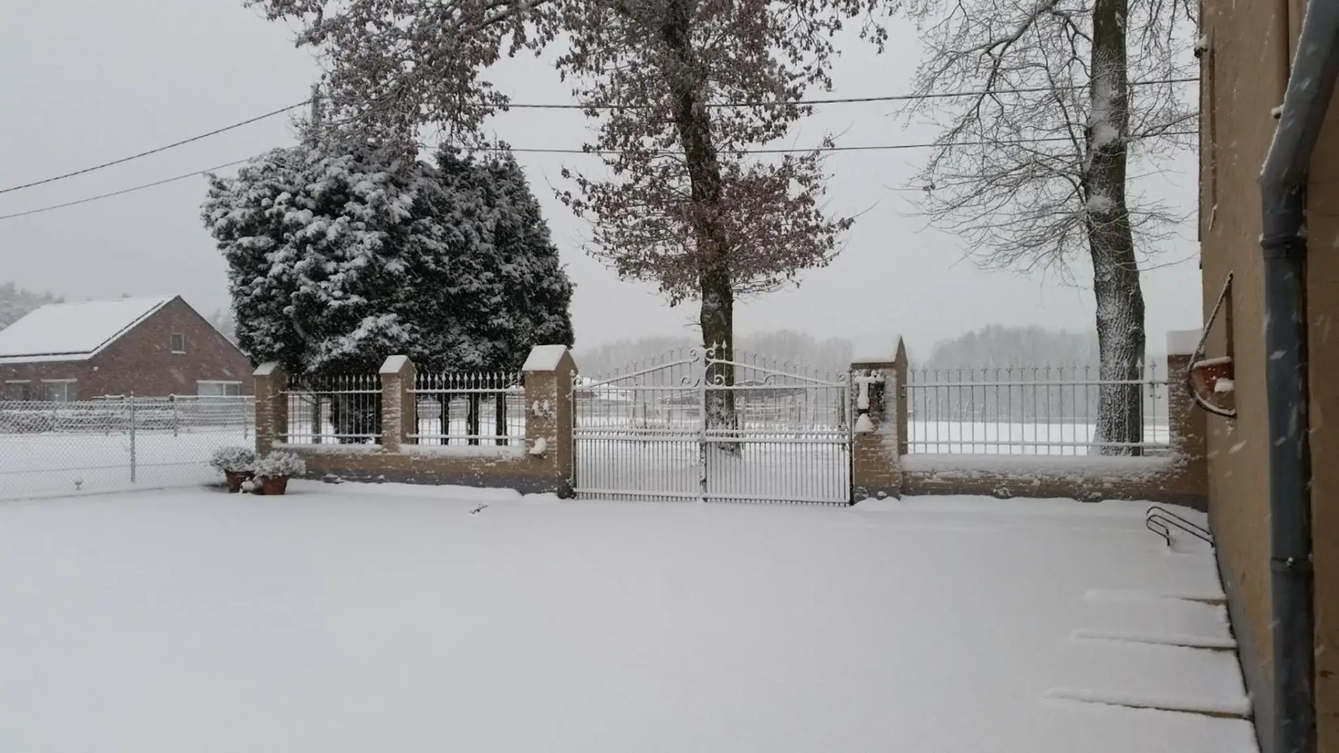 King of Gold Stables appartement met stalling voor 5 paarden