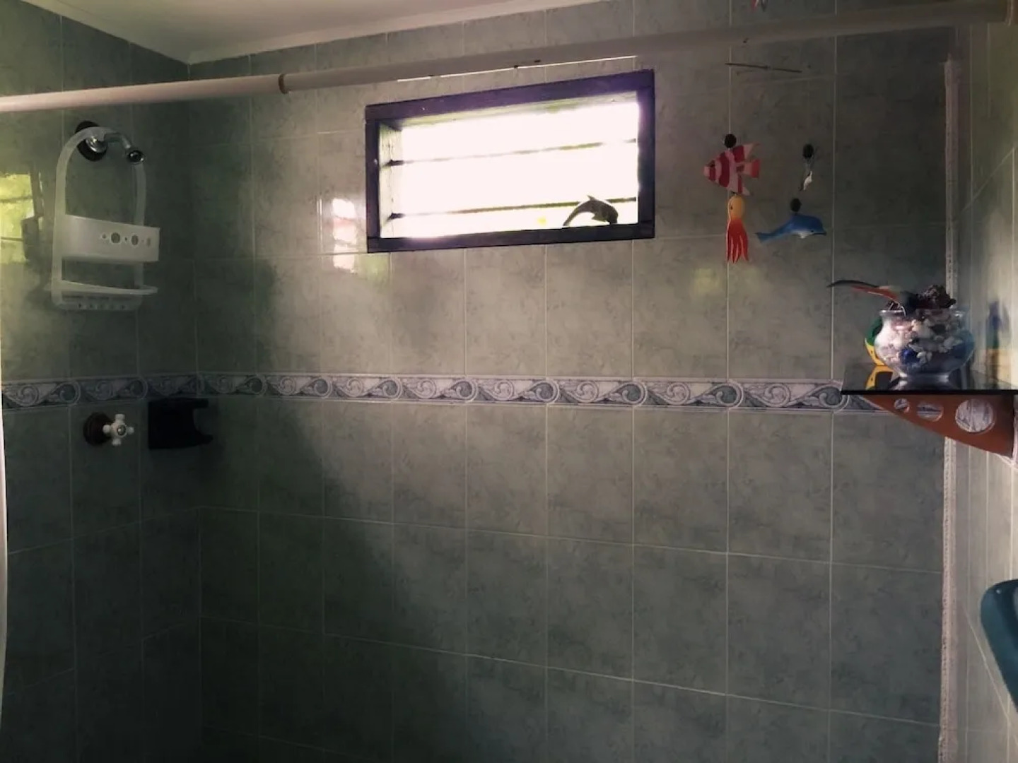 Posada Come So In The Bush