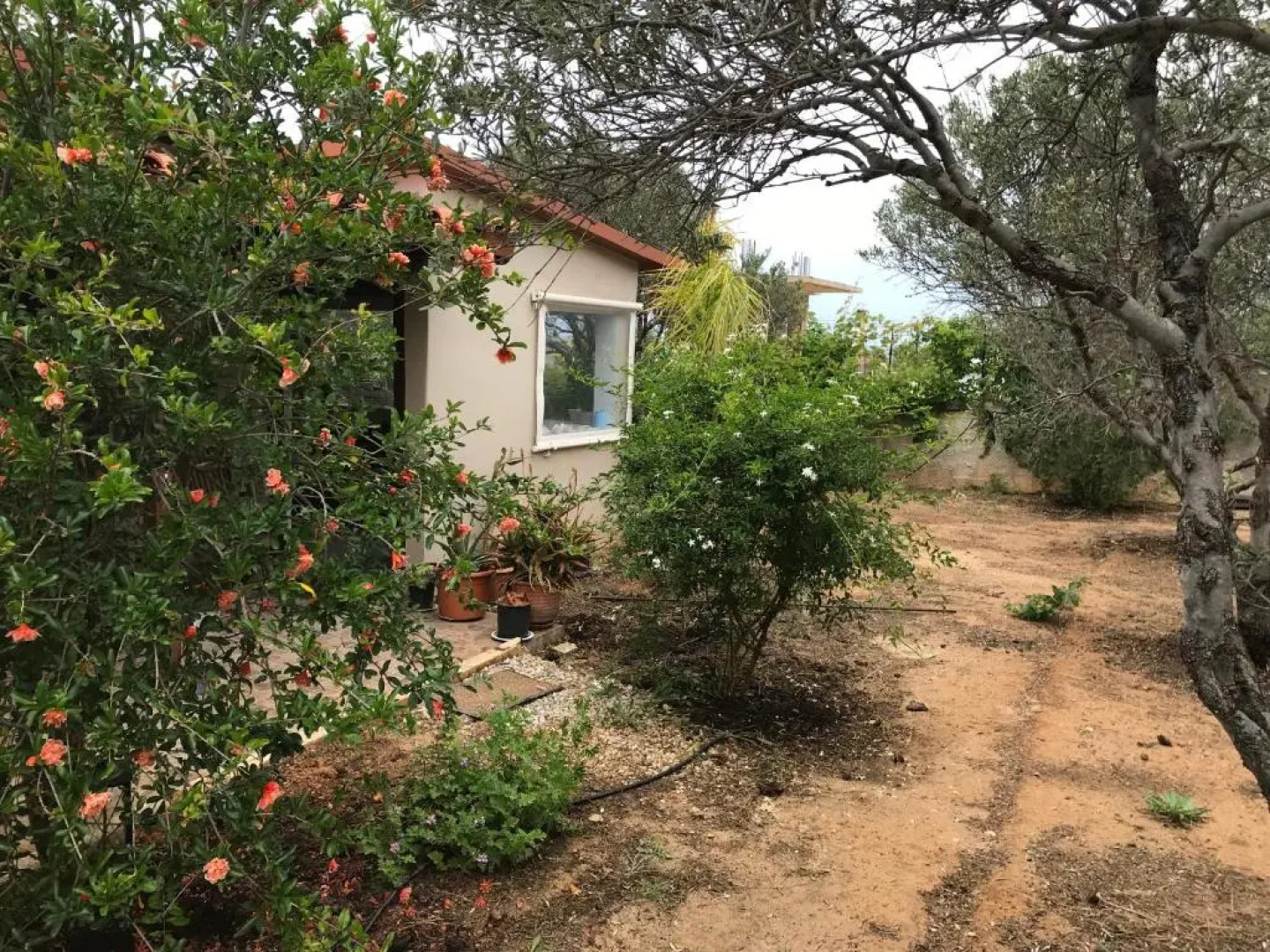 Anni House in Stavros