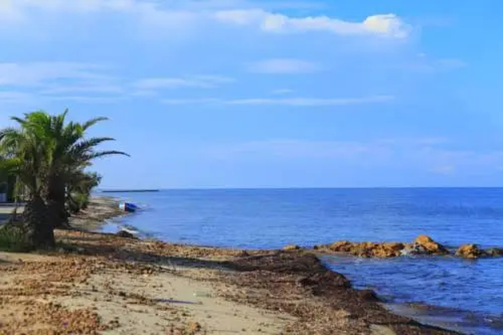 The House of Your Dreams