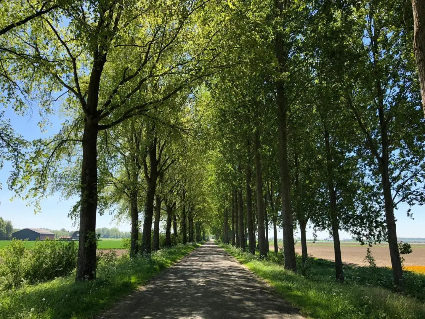 B&B Zeeuwse Lala