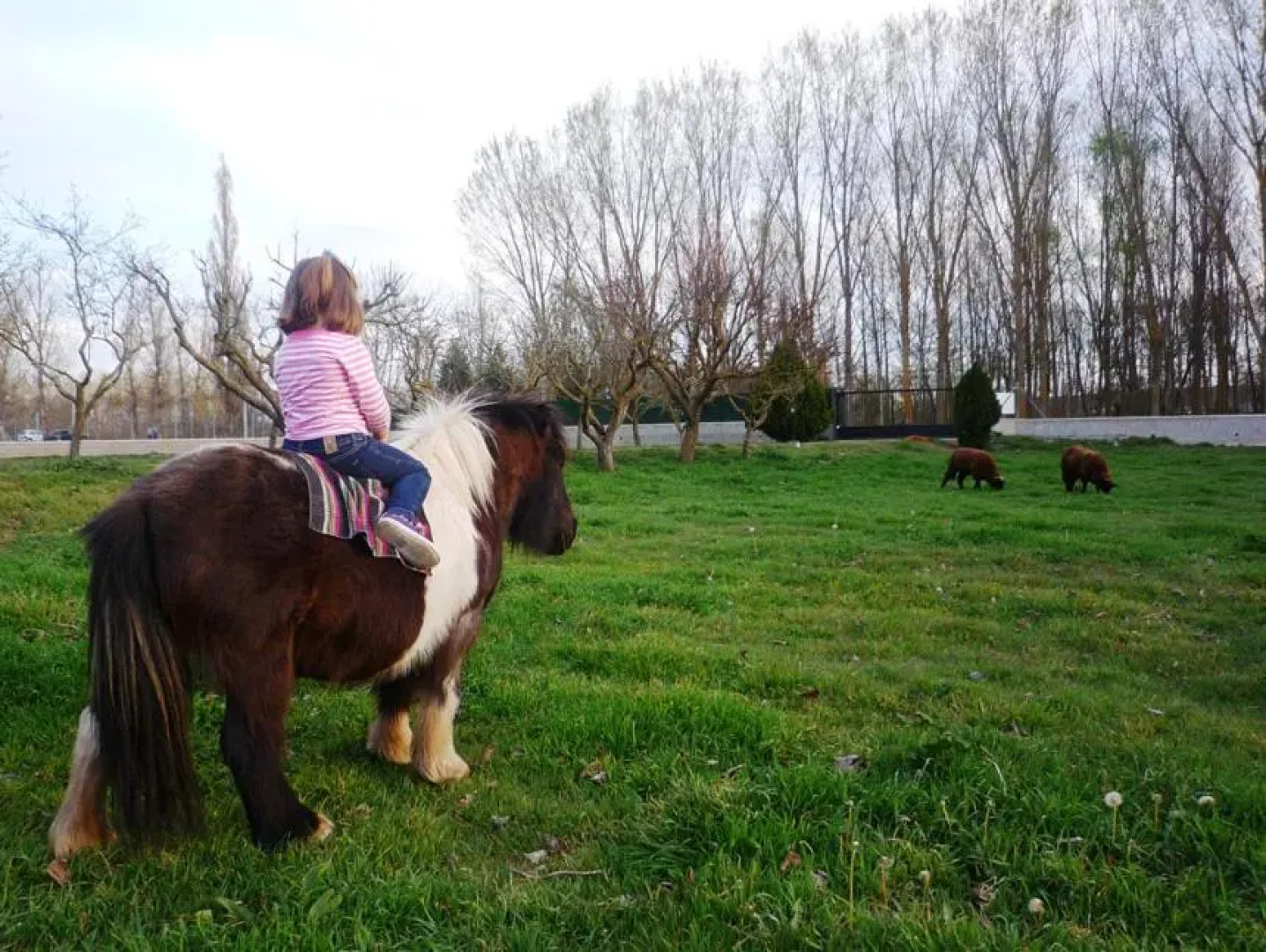 Casa rural El Manantial
