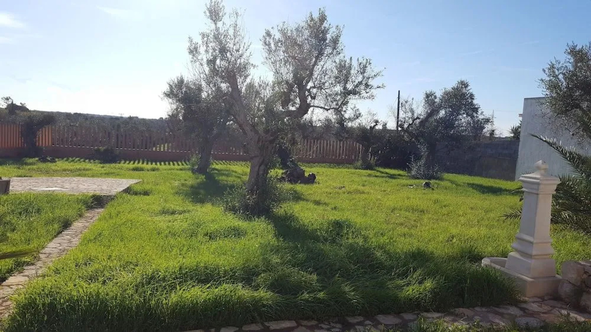 B&B Amaltea Exclusive