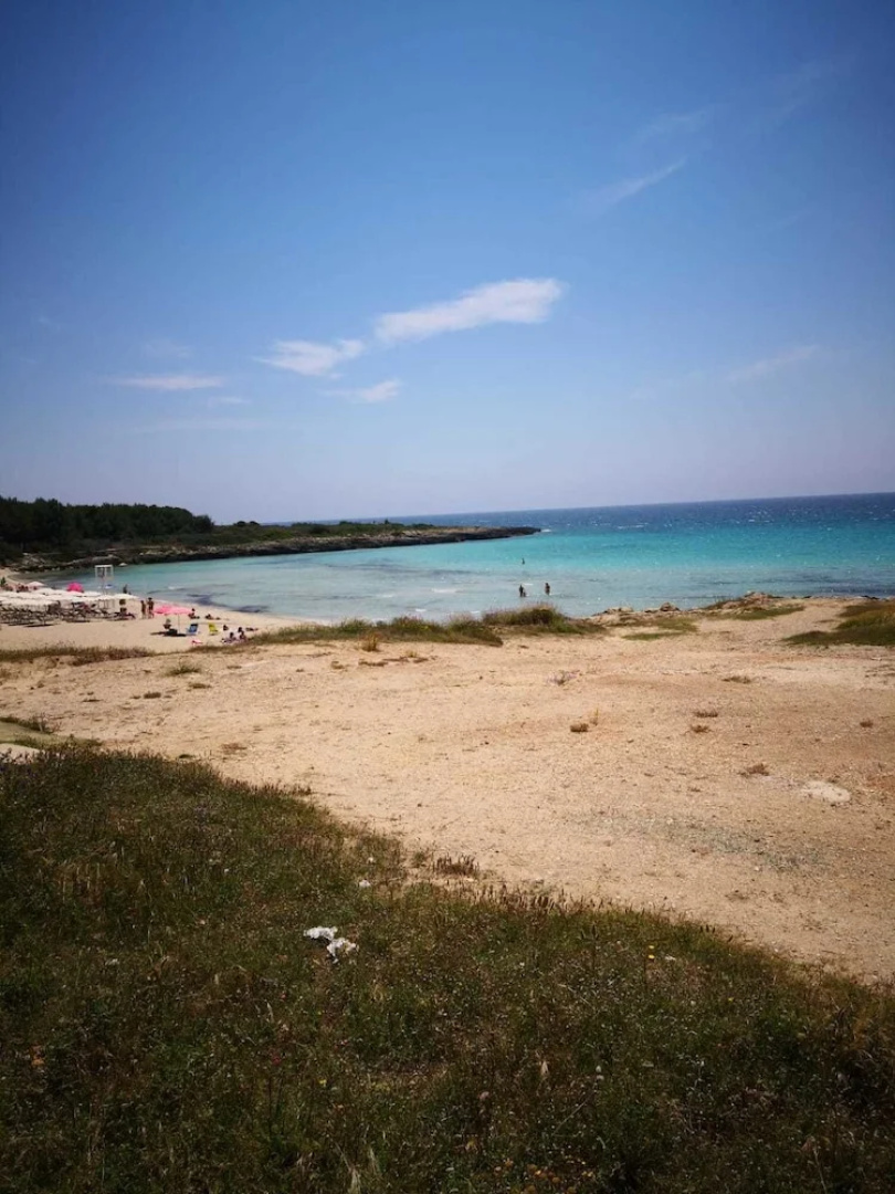 Onde e Gabbiani