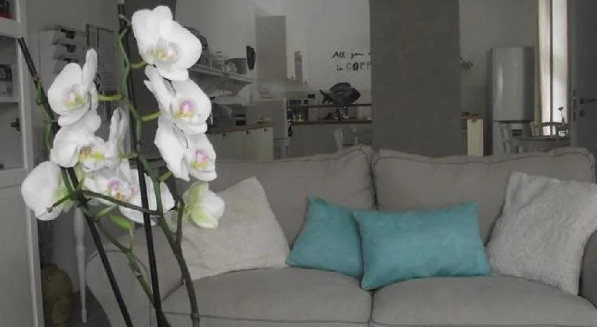 Mediterranea Sea House