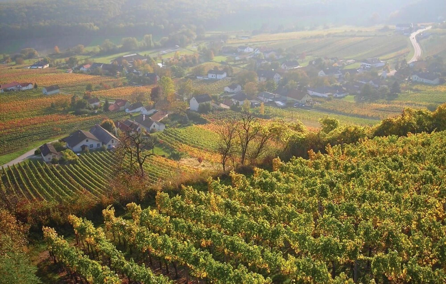 Awesome Home in Steingraben With 1 Bedrooms