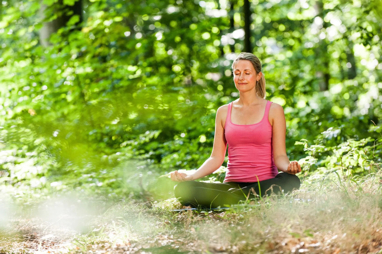 Hotel Birke, Ringhotel Kiel