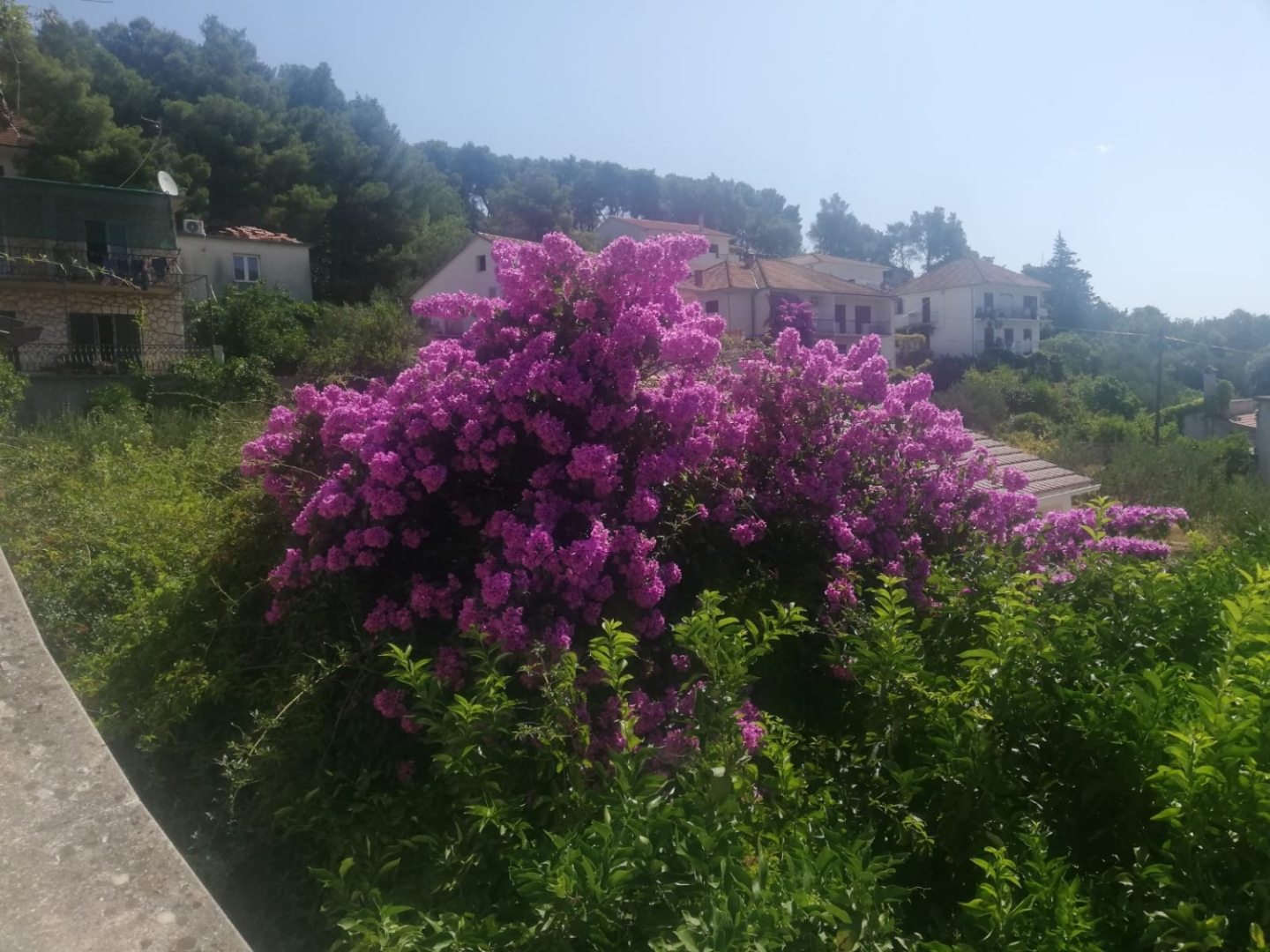 Apartment Marija2  - close to the center: A2 Jelsa, Island Hvar