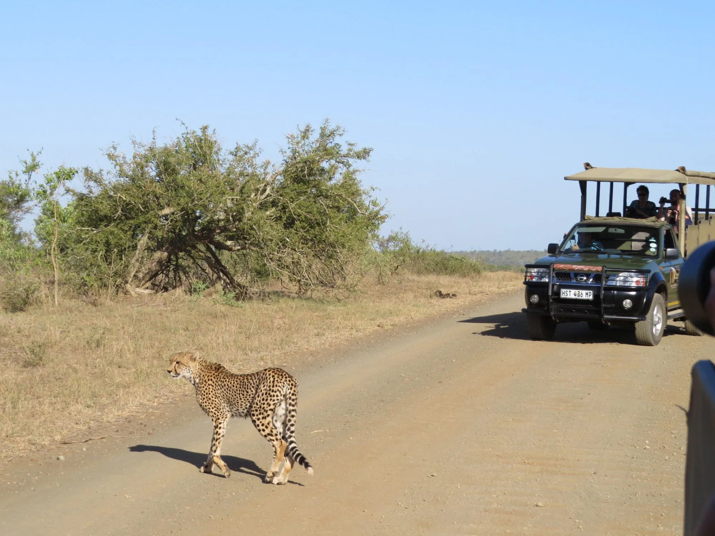 Phumula Kruger Lodge