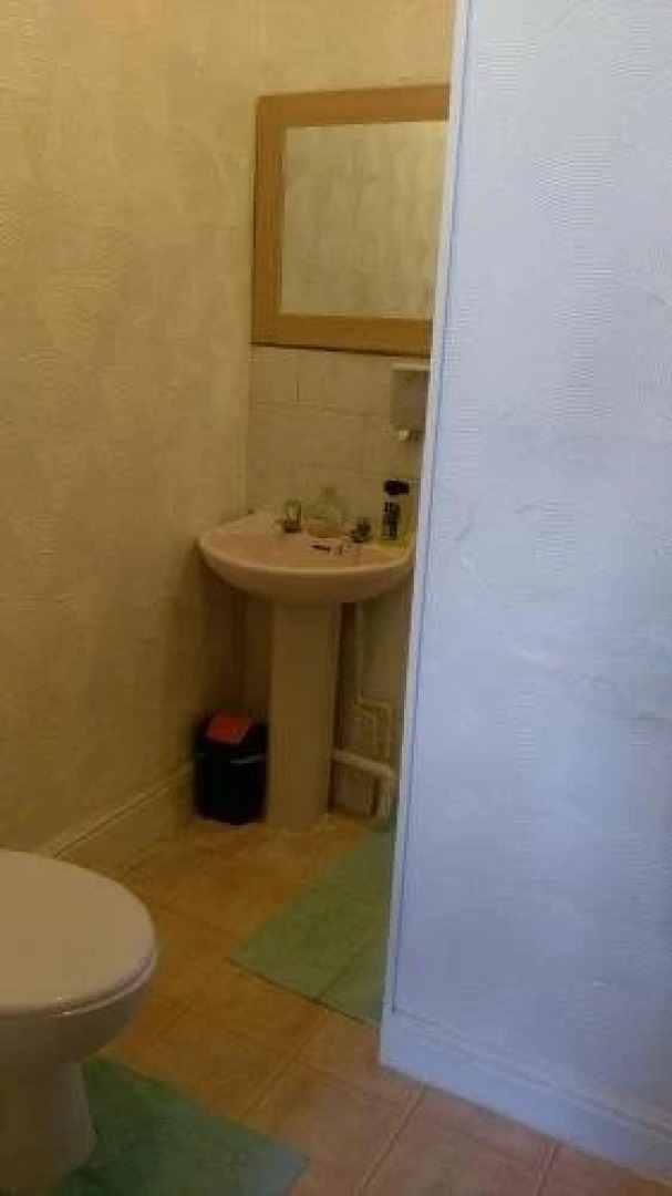 The Satter International