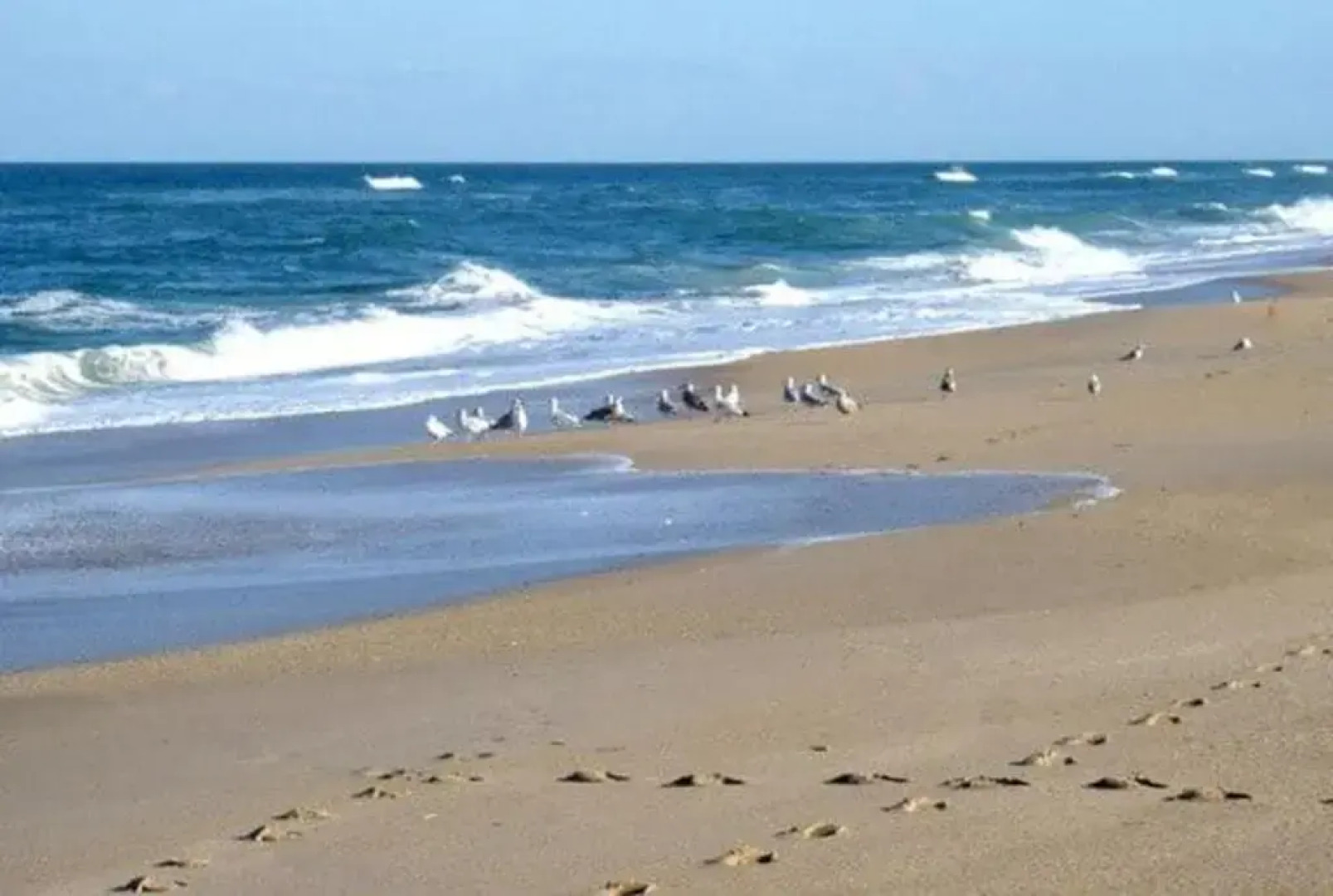 Om Shanti Beach Resort