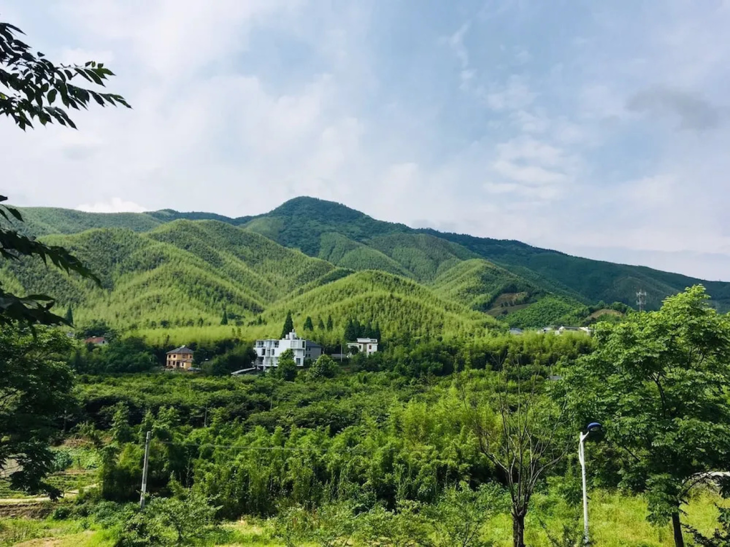 Moganshan Wild House