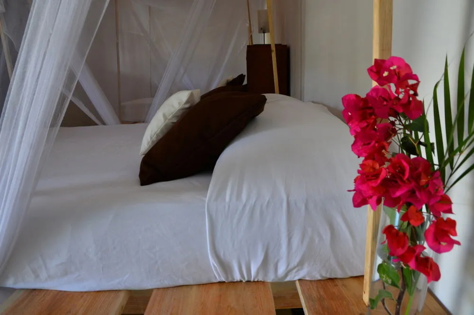 Hotel Boutique La Cigale