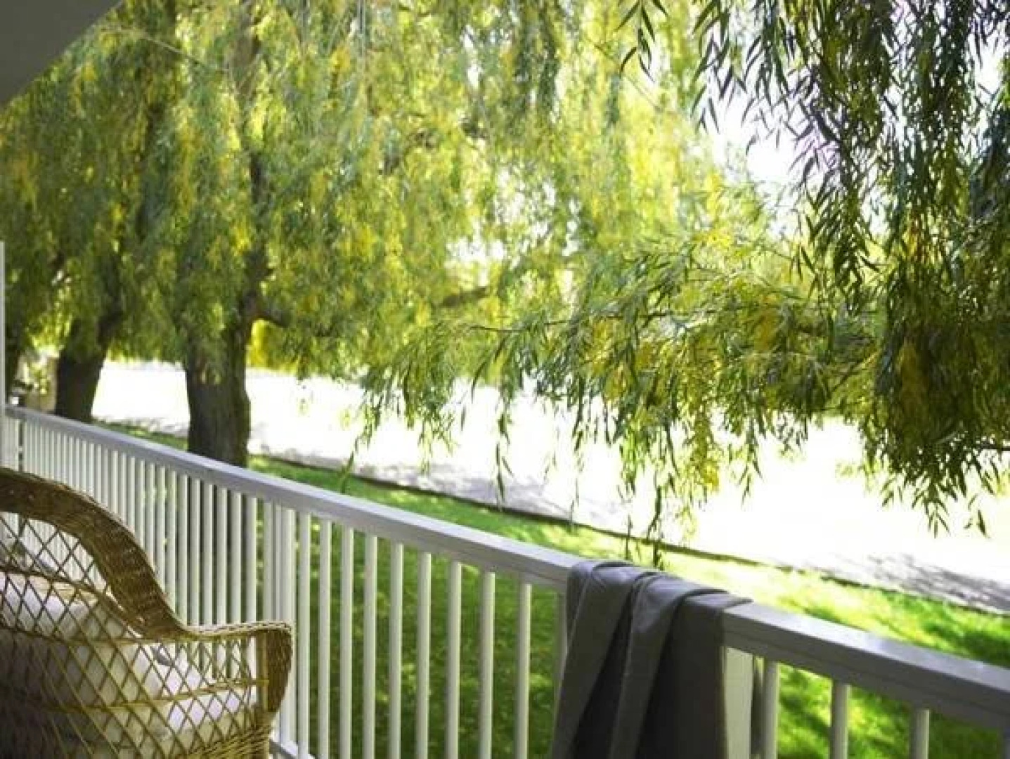 Estrella del Bajo Carrión