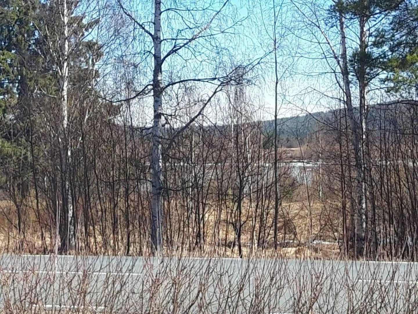 Old Post Office now Cosy Apartment Close to Nature