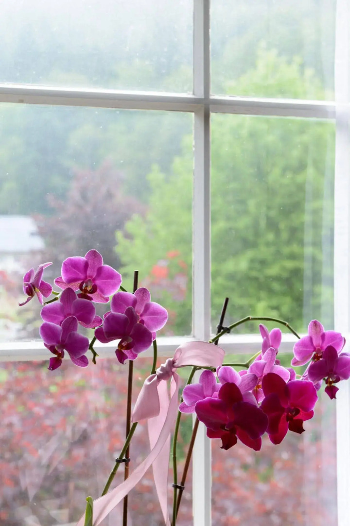 Zum Letzten Gstehr - Black Forest River Side Hotel