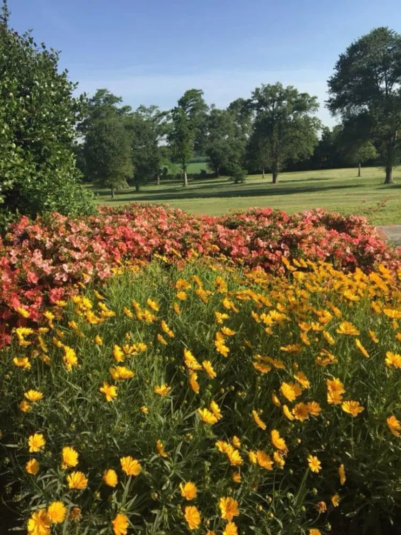 The Mansion at Red Hill