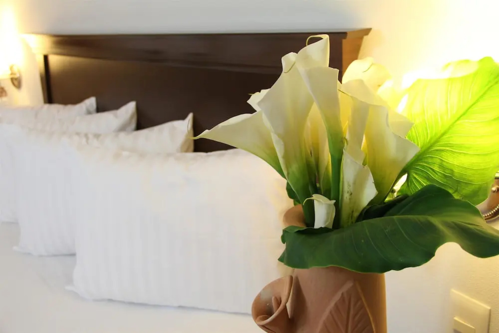 SureStay Hotel by Best Western Palmareca