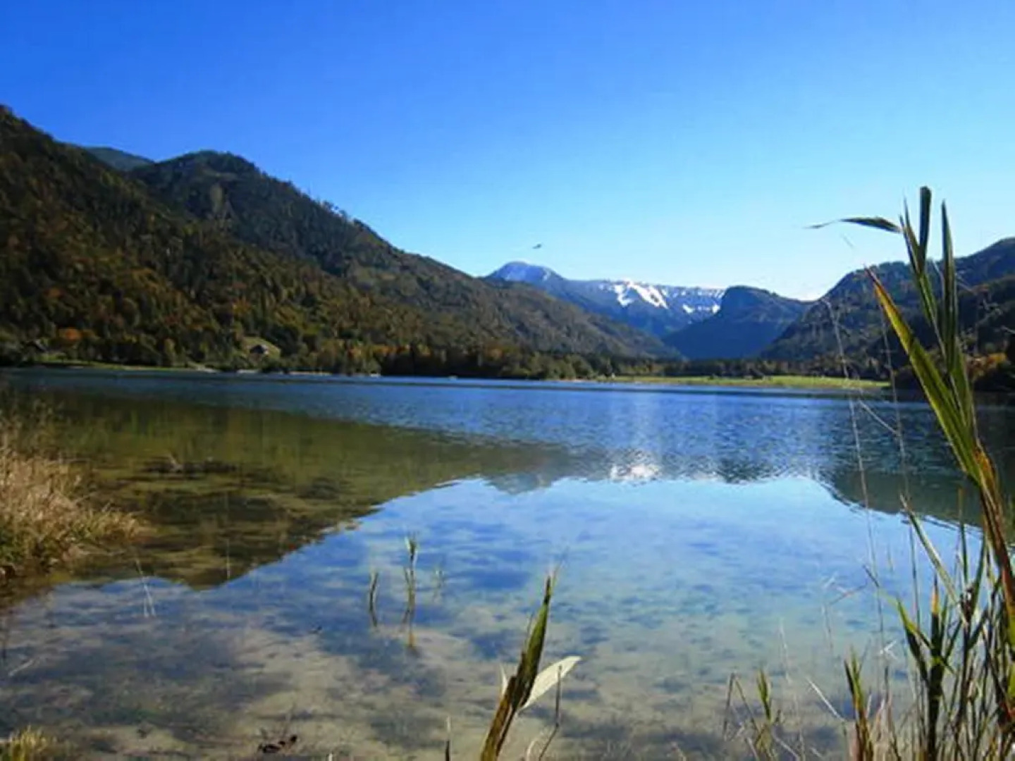 Privatzimmer Eva Leitgeb