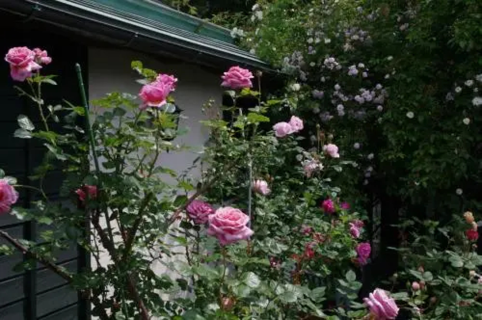 Petit Hotel of Log House Tombouctou