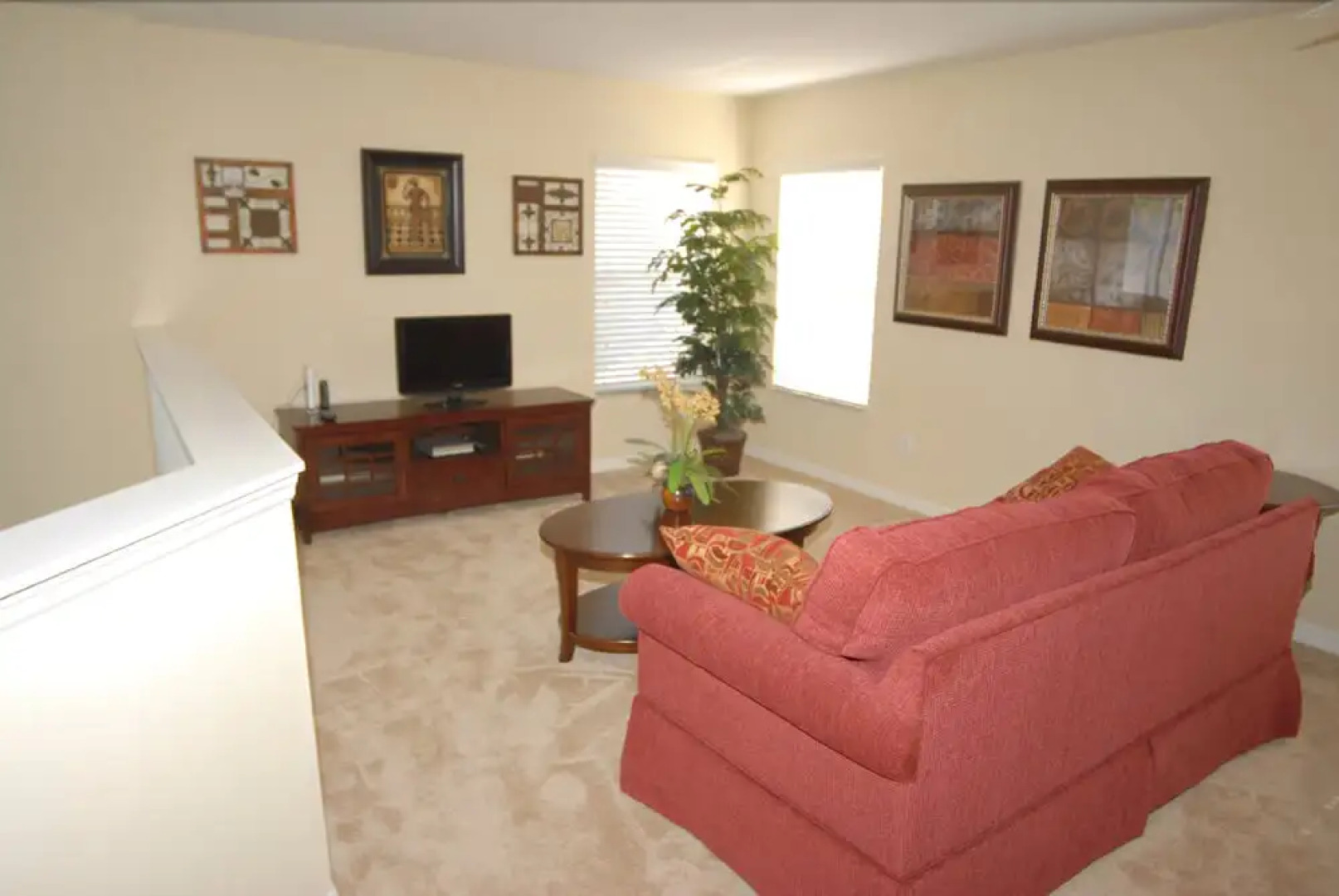 Platinum Collection - Royal Queen Palms