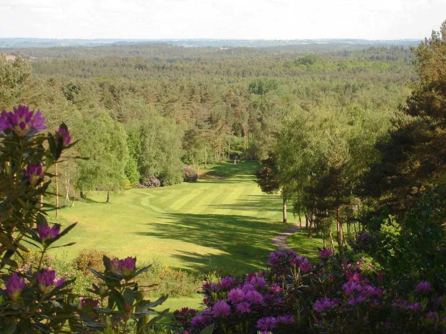 Old Thorns Hotel & Resort