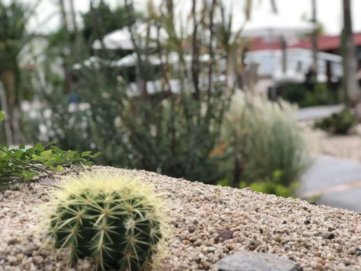 The Westmarine Waterfront Hotel