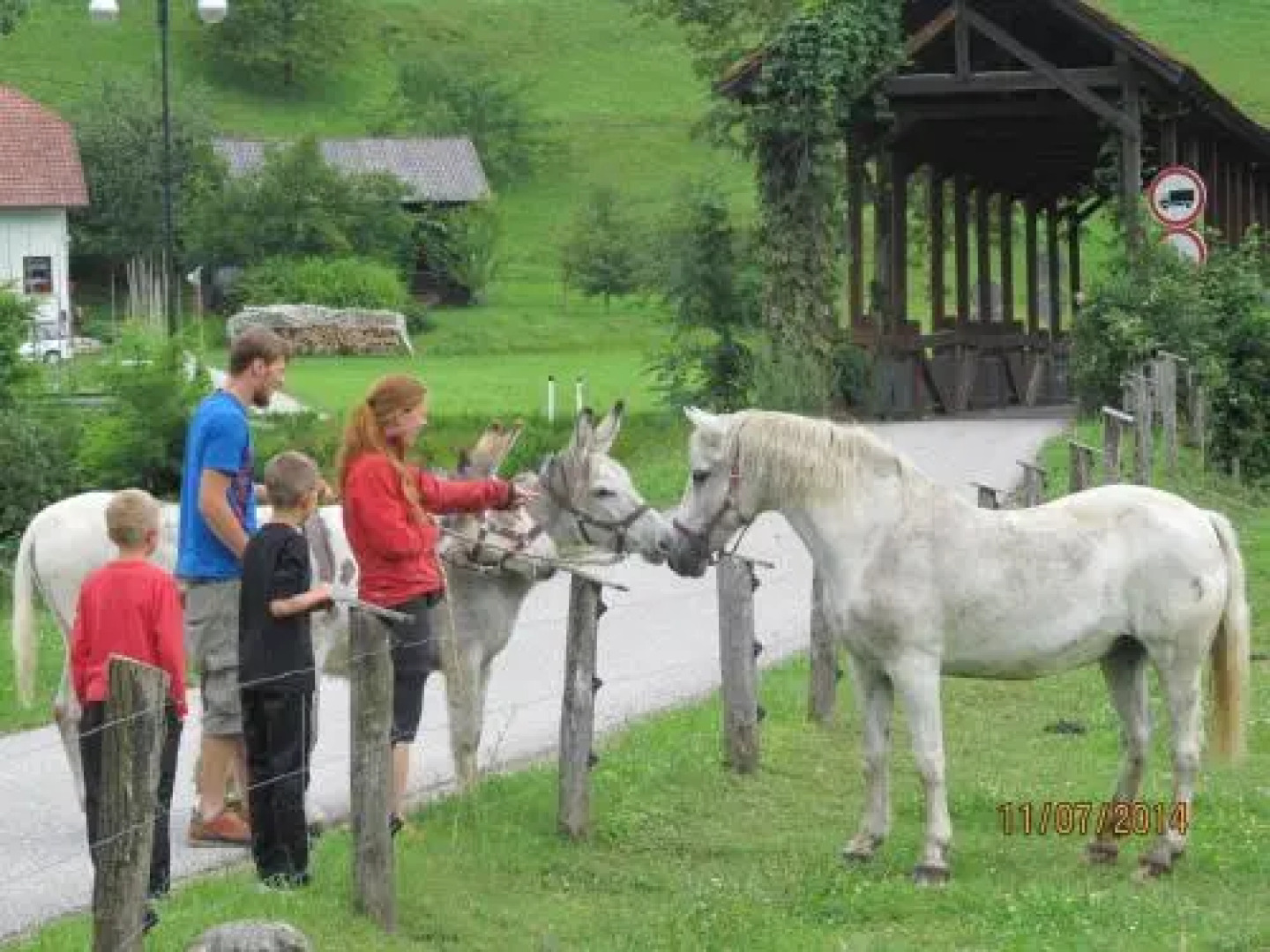 Bed and breakfast Matic