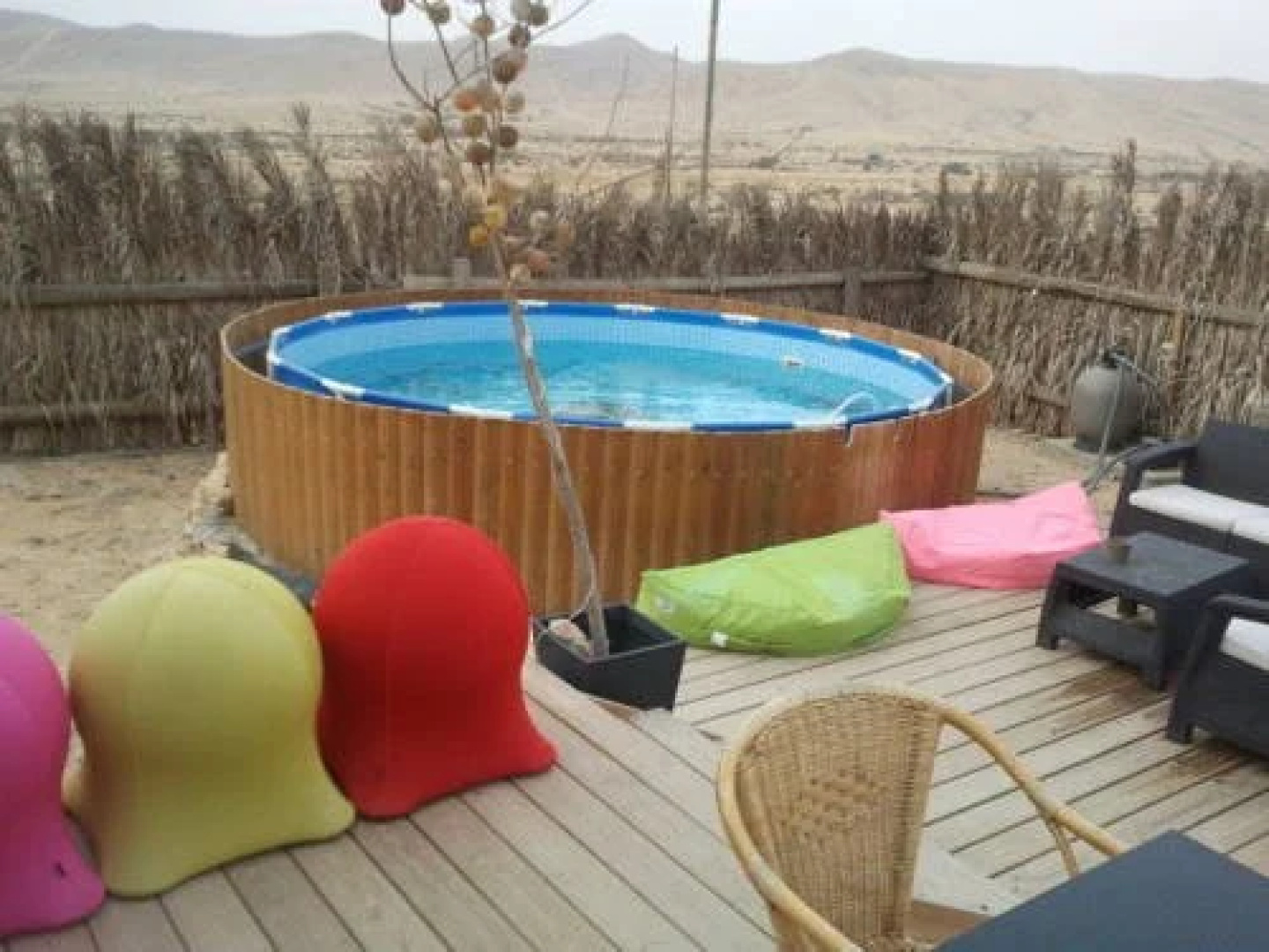 Desert Olive Farm