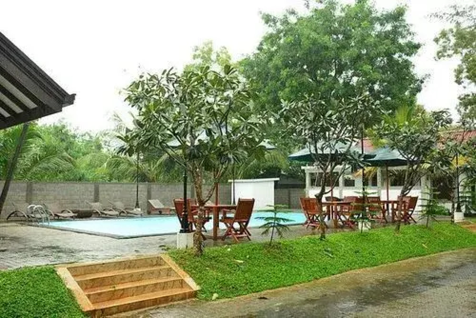 Oak Ray Elephant Lake