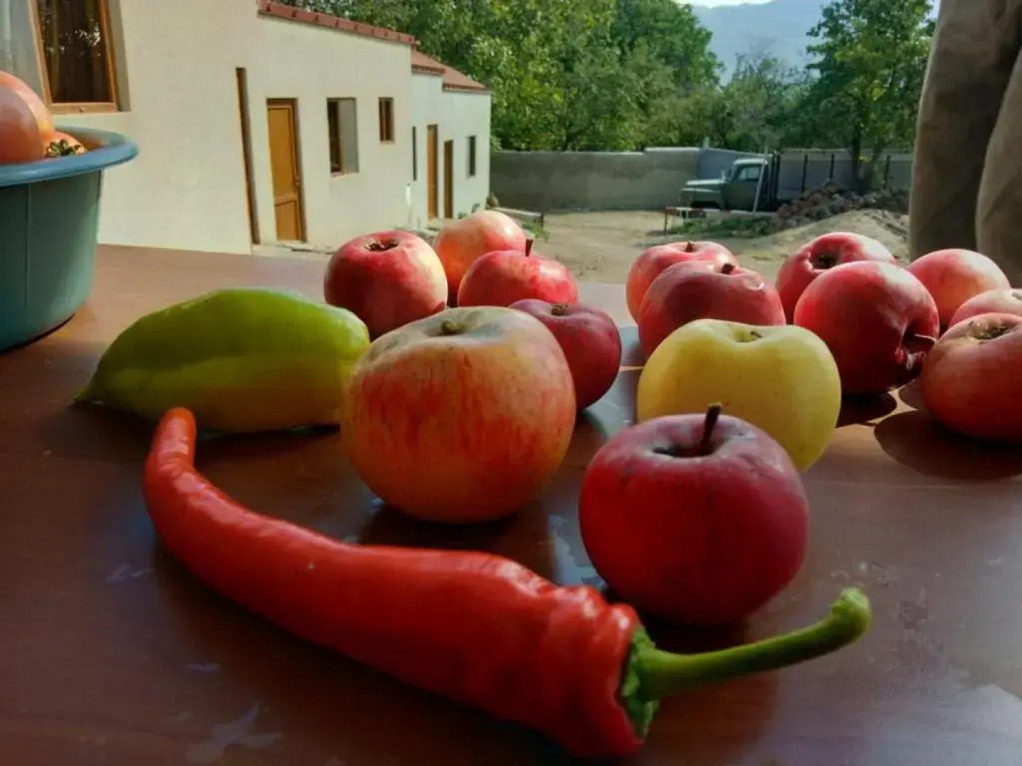 Saro B&B And Safari Tours