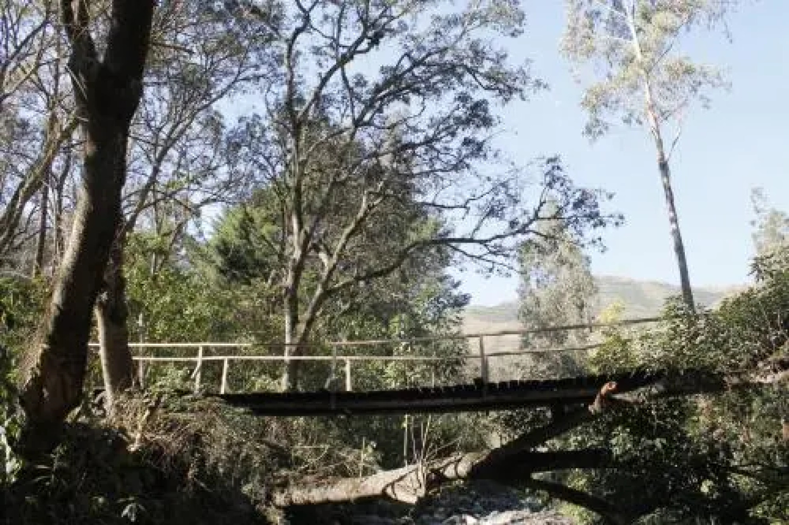 Altai Oasis Eco Lodge