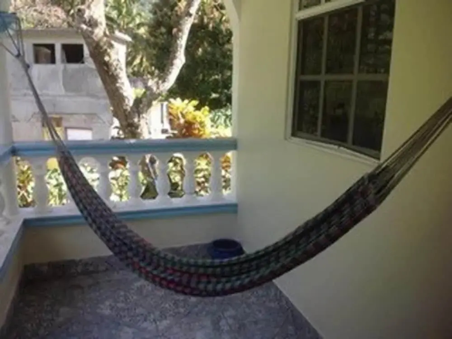 The Jungle Room