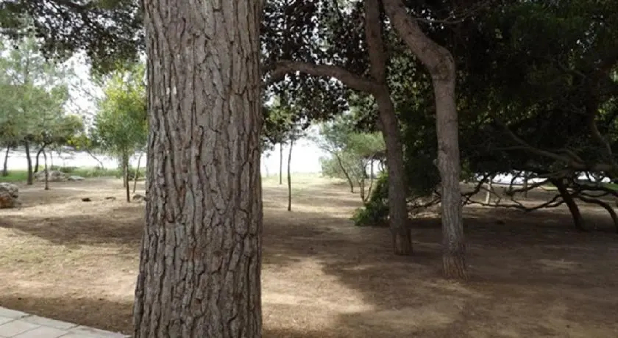 Bilo Rivabella Kale Polis