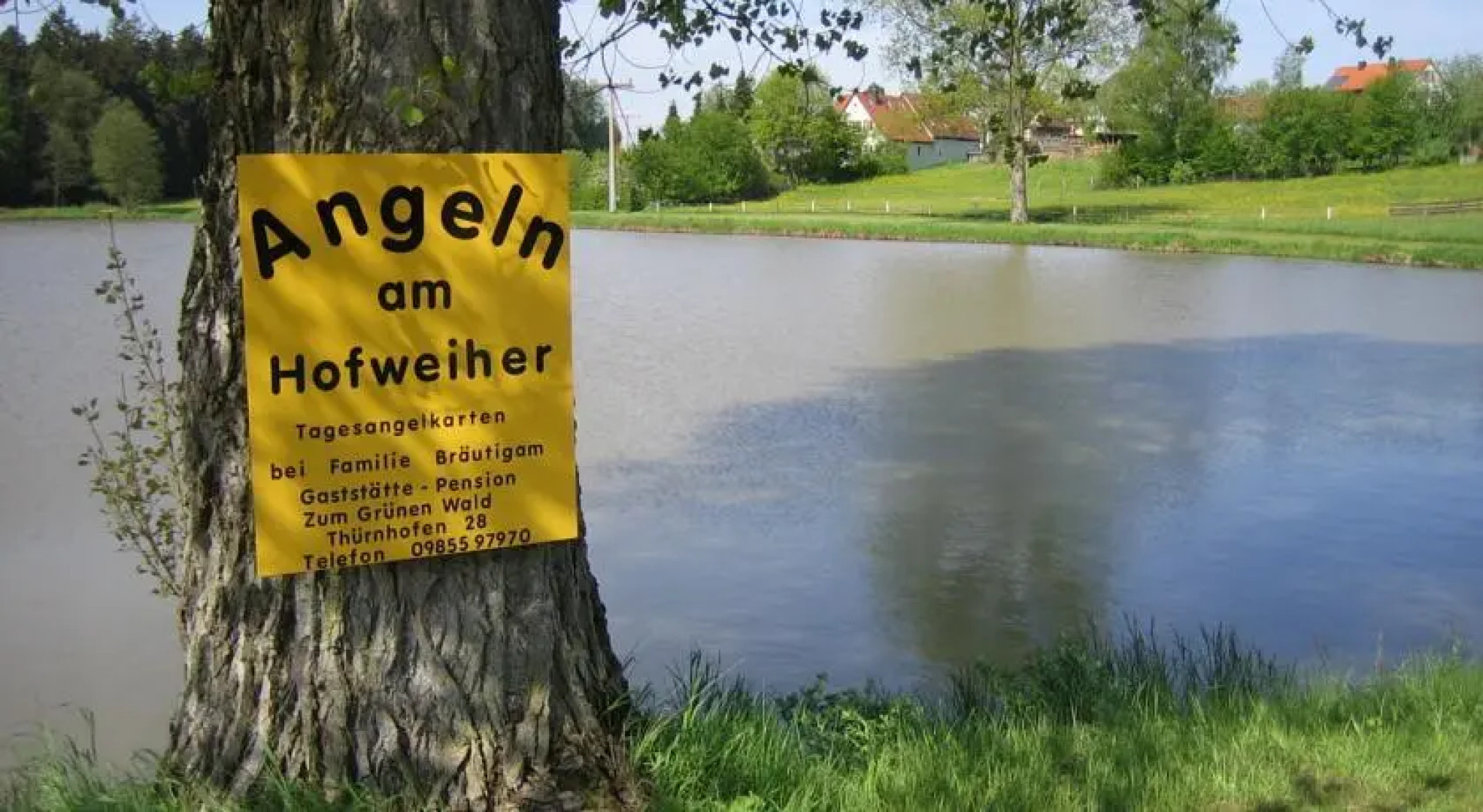 Pension Zum Grünen Wald