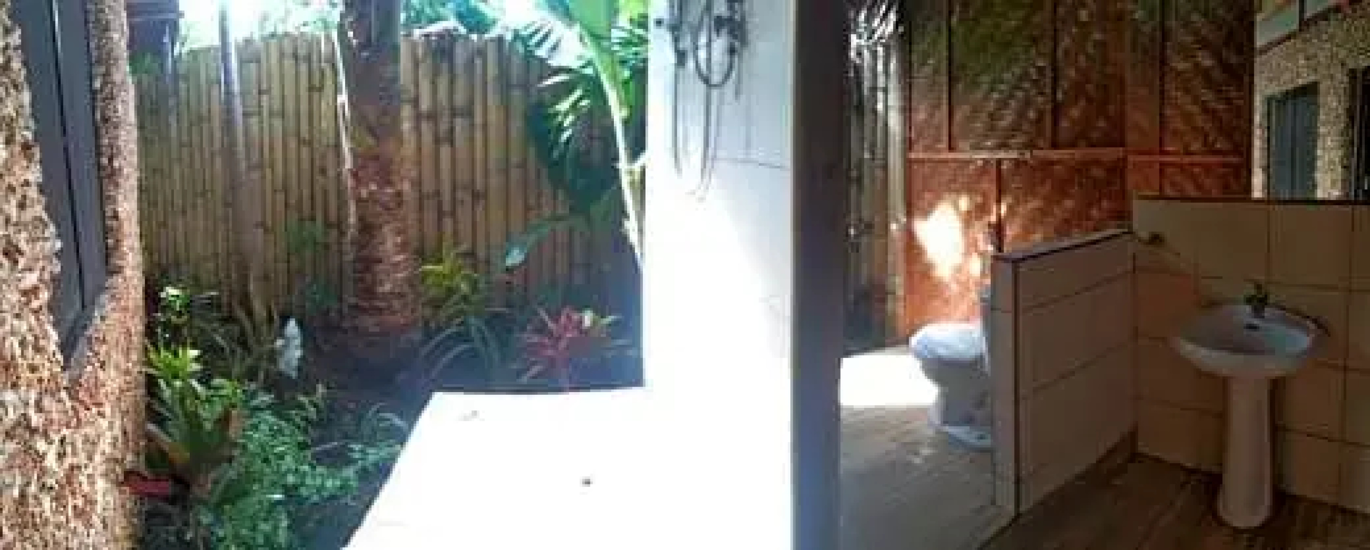 Jungle of peace
