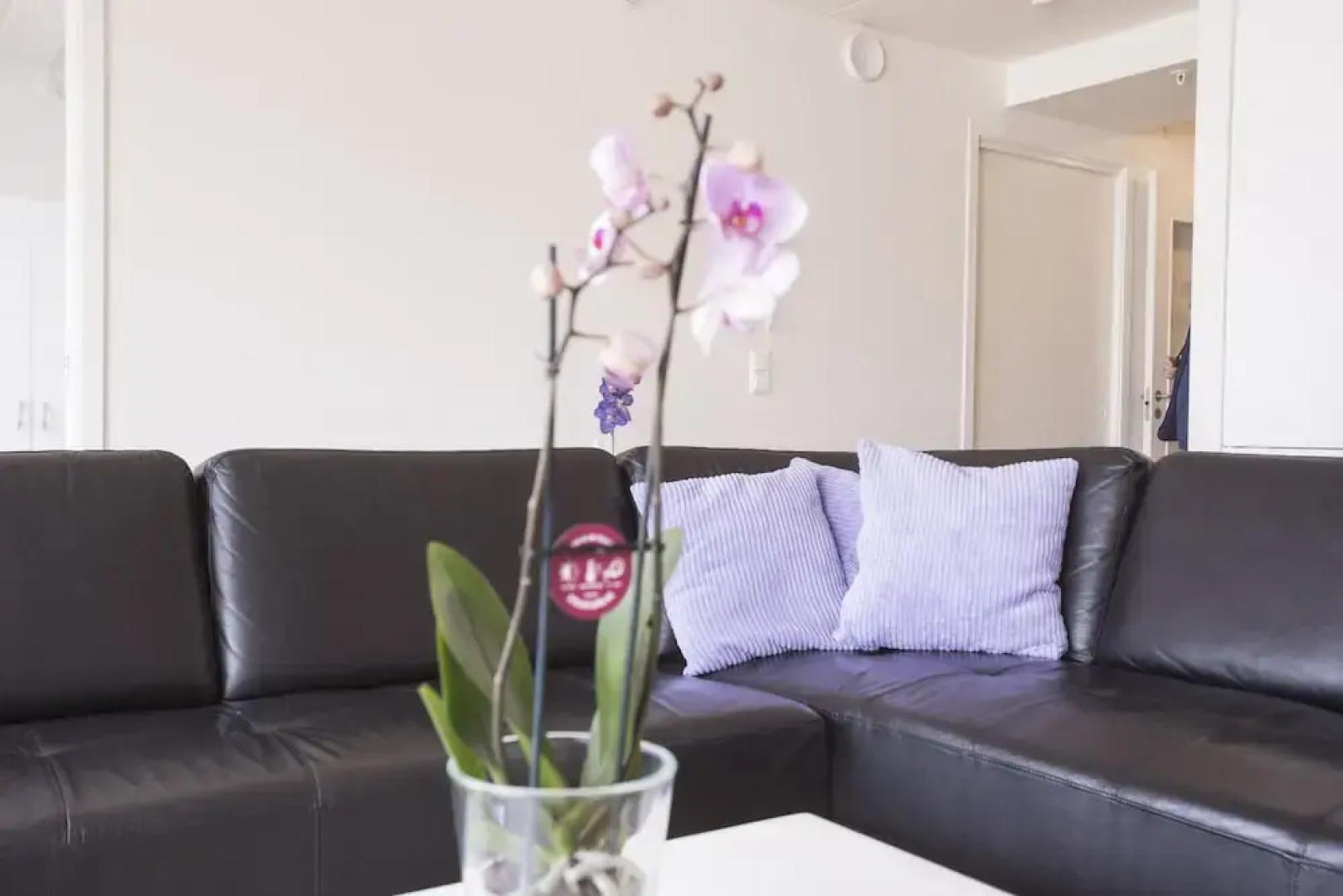 City Housing - Bergelandsgata 13 - Klostergaarden Apartments