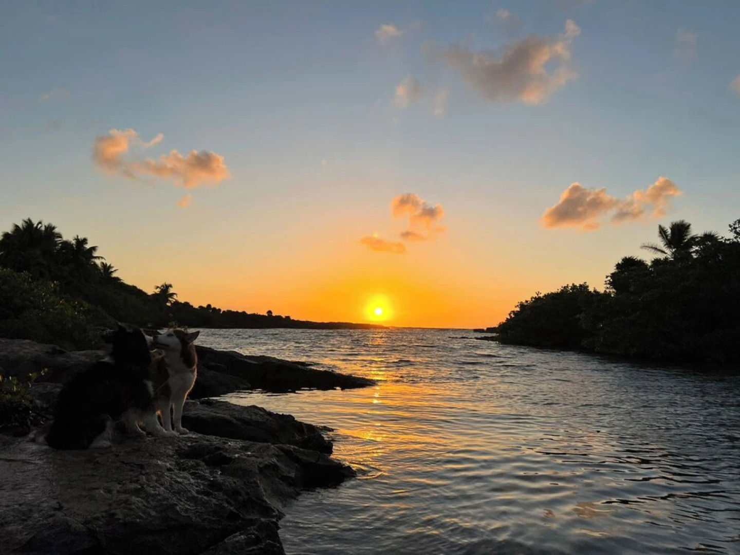 Amazing Top Floor Apartments BBQ Pool Sea View Jungle View