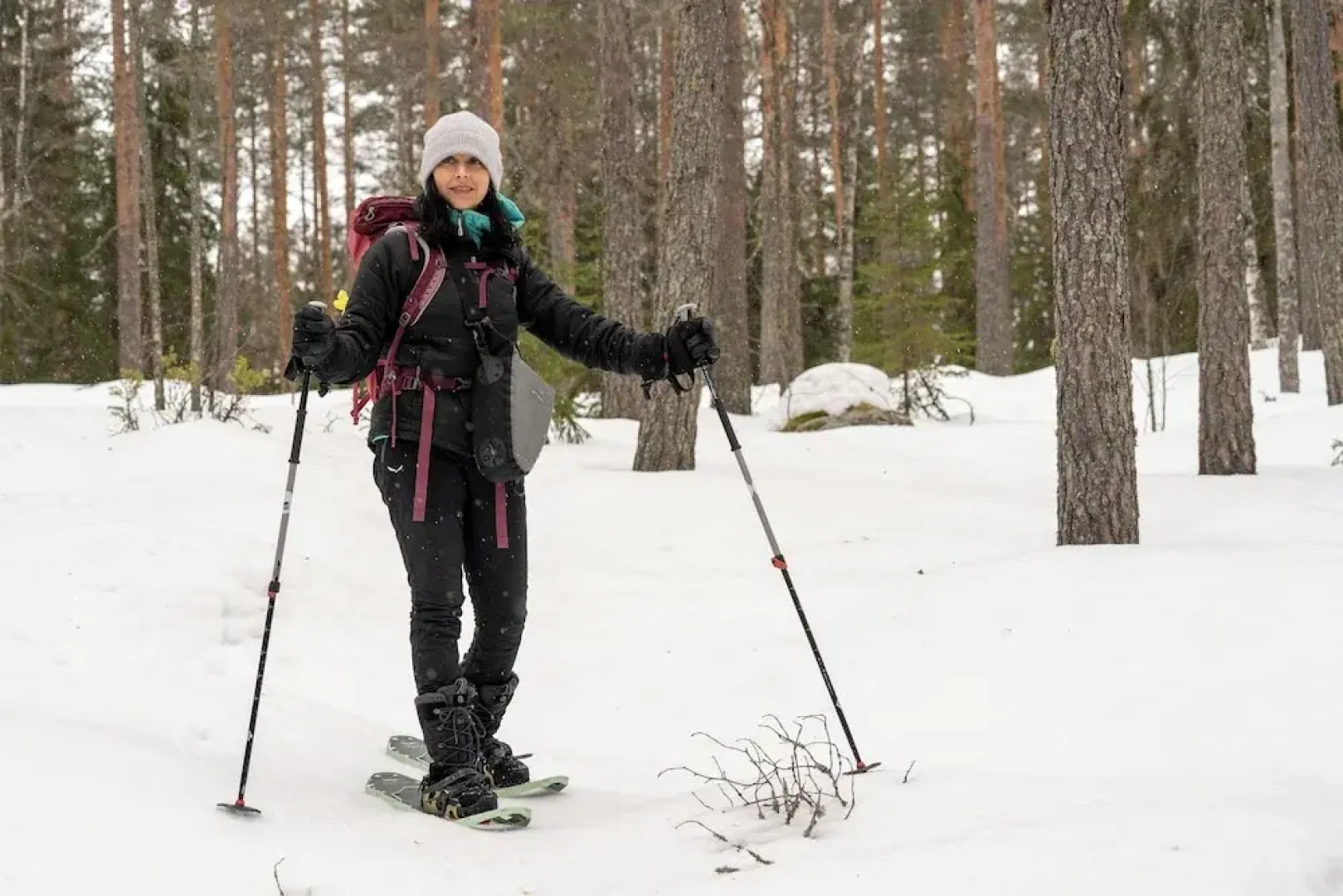 Olo Center by Kolovesi National Park