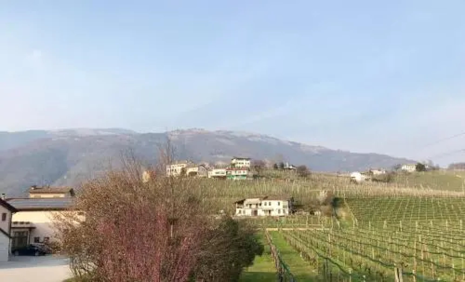 Casa Vacanze Ricca Vigna