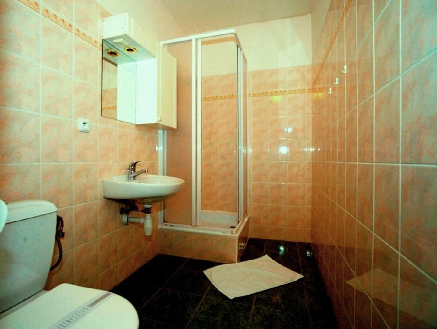 Penzion A Restaurace Šenk