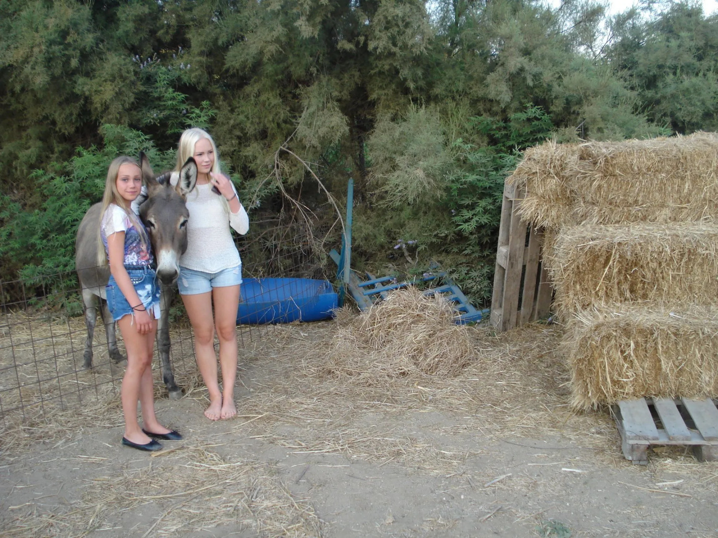 Agios Prokopios Hotel