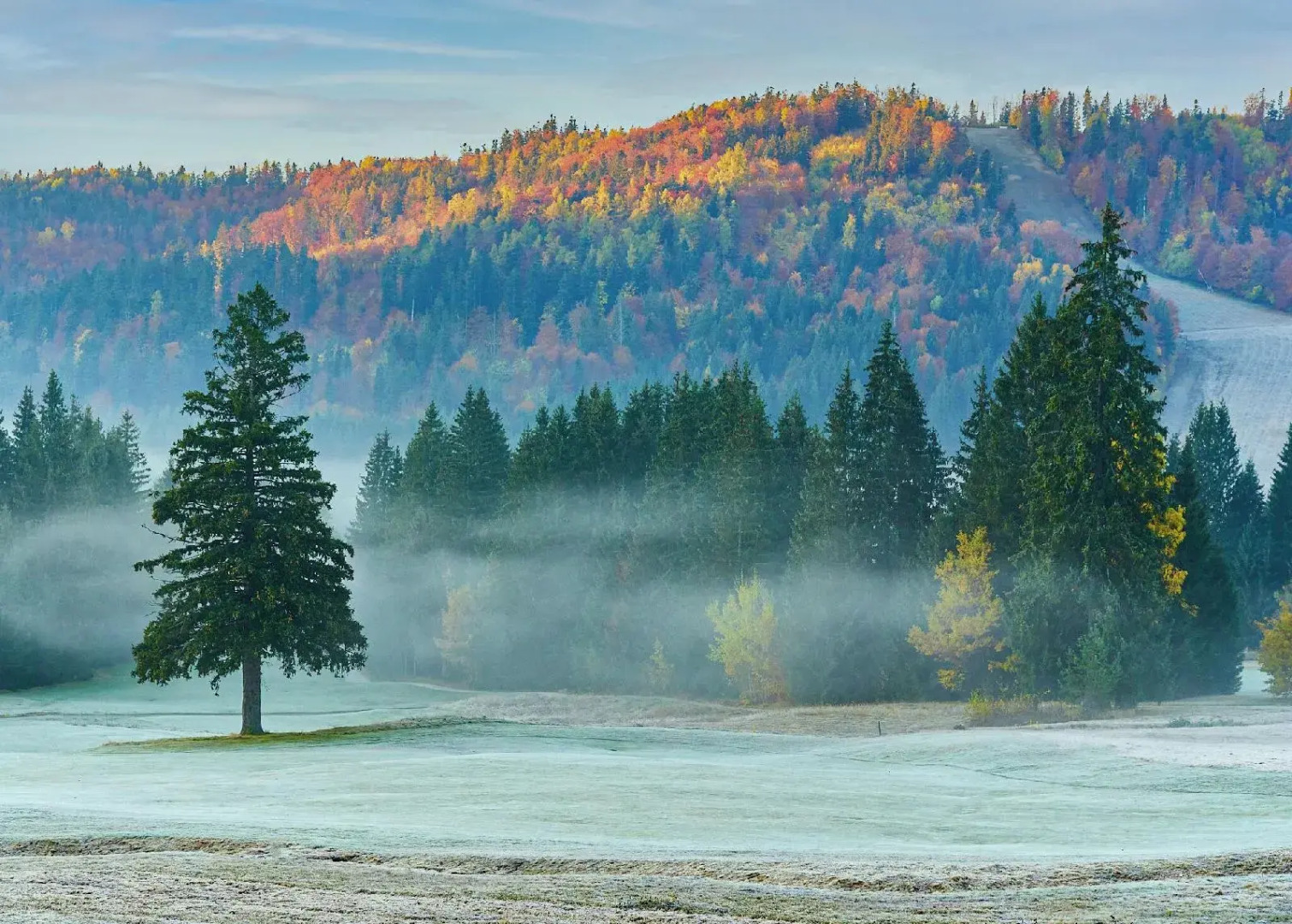 Dependence Hotel Golf