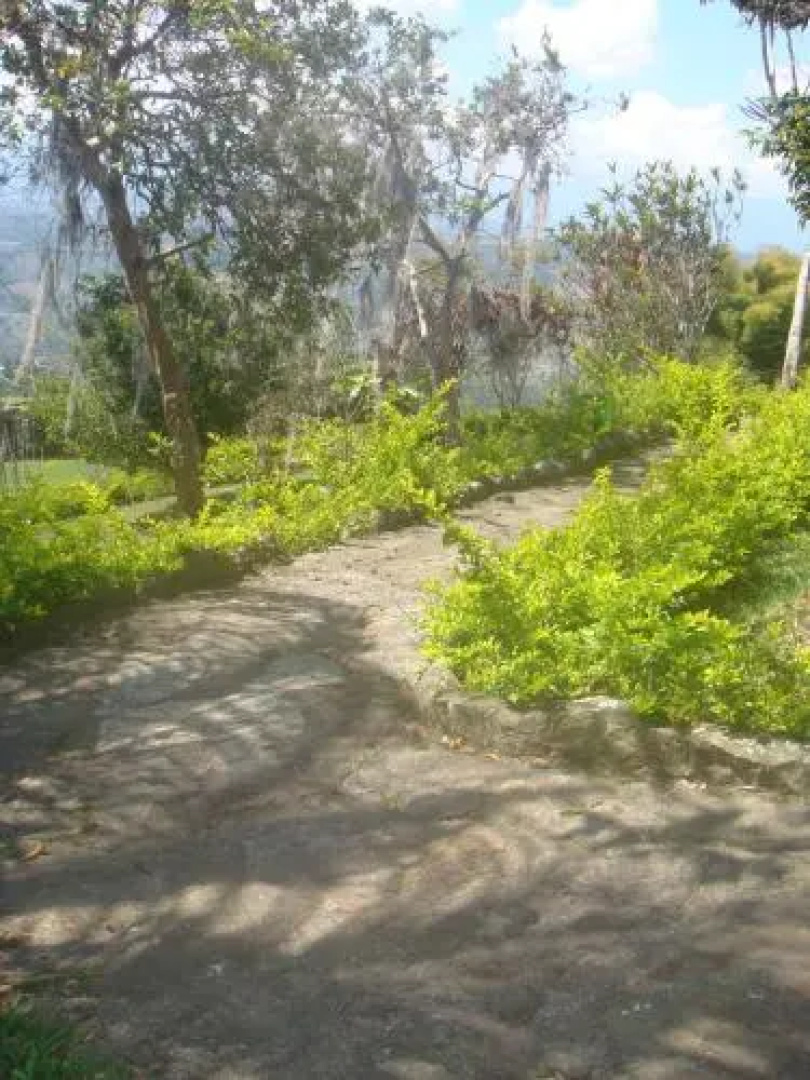 Rancho Grande