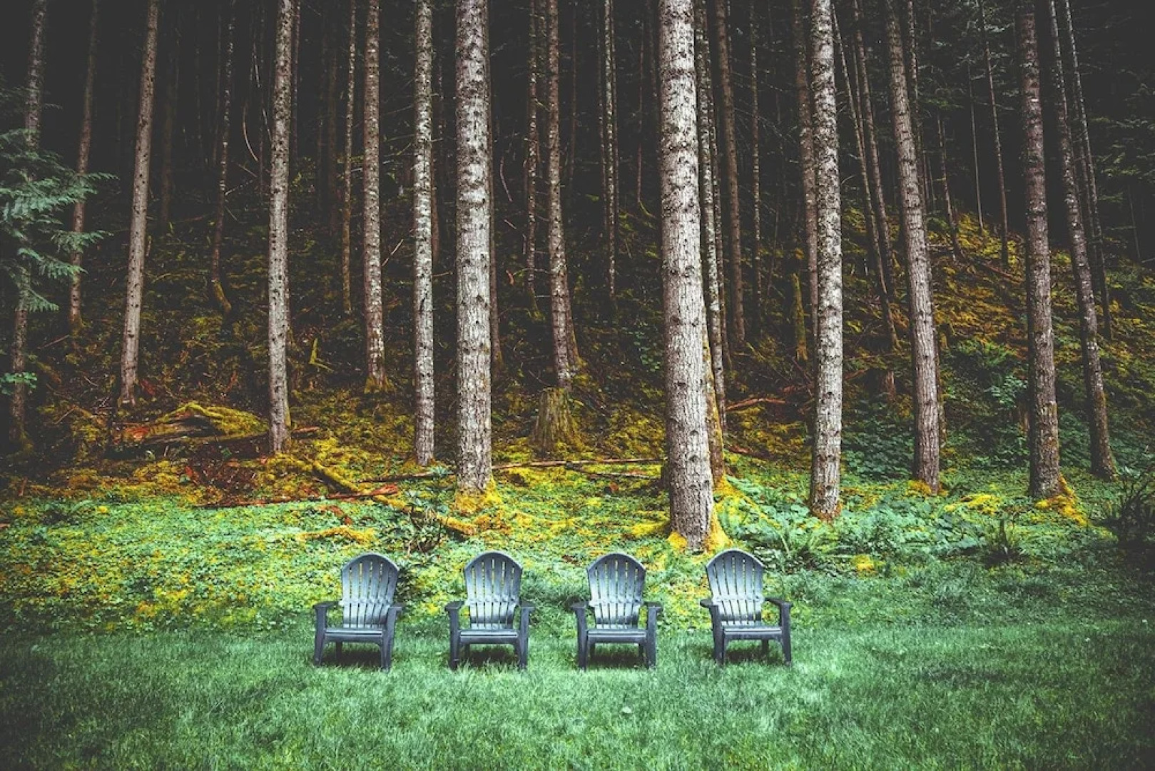 Elk Crossing Cozy Cabin At Crystal Mountain 3 Bedroom Home by RedAwning