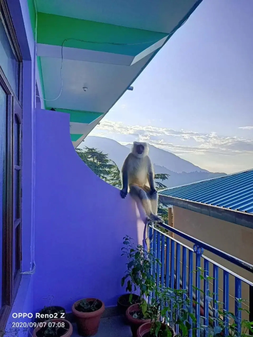 Ram Yoga House
